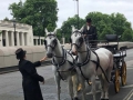London Toastmaster at Three Venue Wedding in London 03