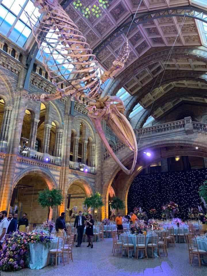 Wedding Toastmaster at Natural History Museum Wedding August 2019 05